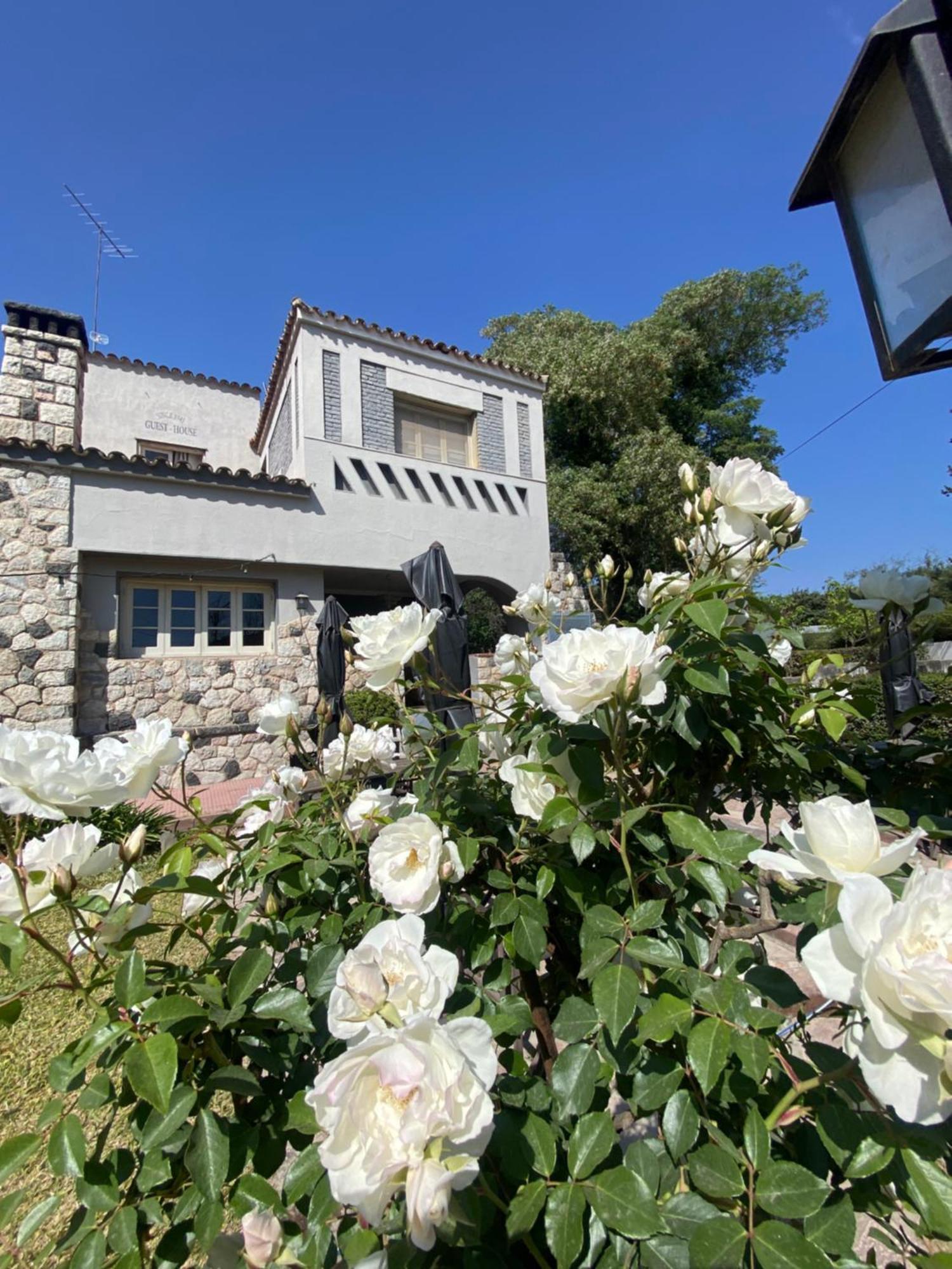 Posada Del Angel Villa Serranita Eksteriør billede